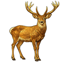 Illustration of a deer